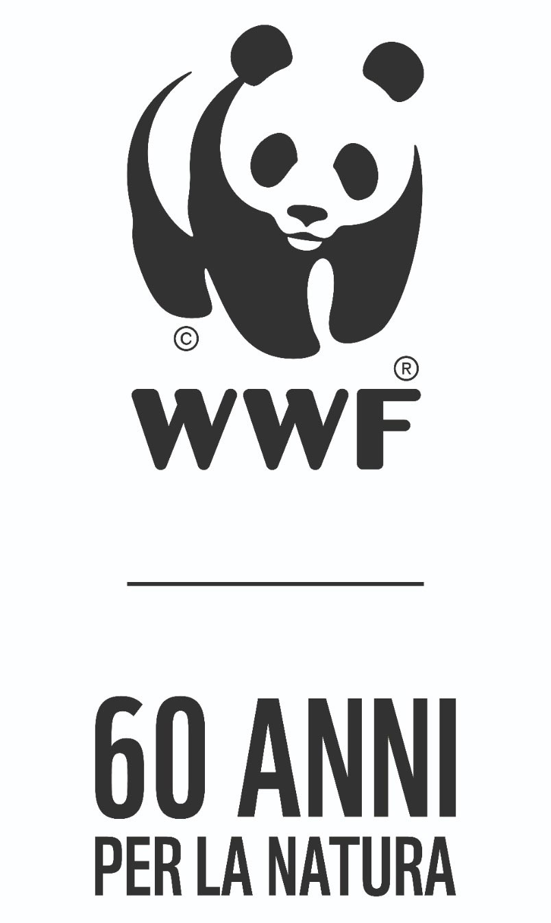 Concorso Fotografico